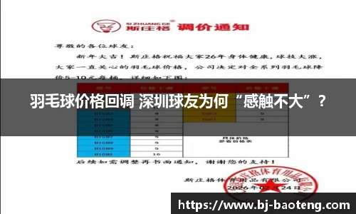 羽毛球价格回调 深圳球友为何“感触不大”？